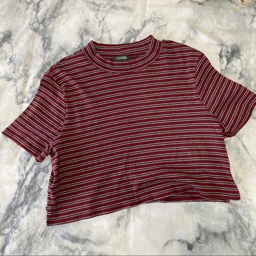 Striped Knit Crop Top